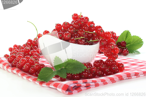 Image of red Currants
