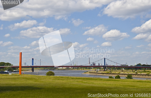 Image of Rhine orange