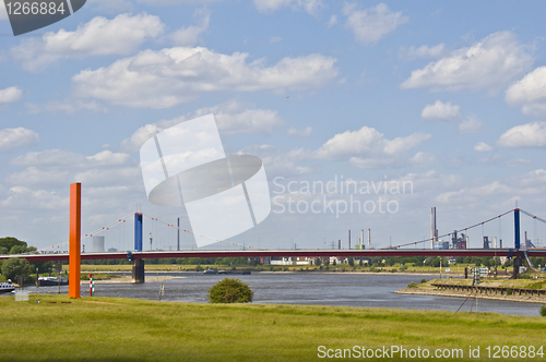 Image of Rhine orange