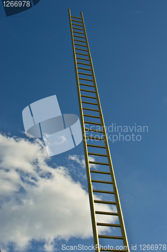 Image of Golden ladder