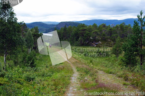 Image of The path