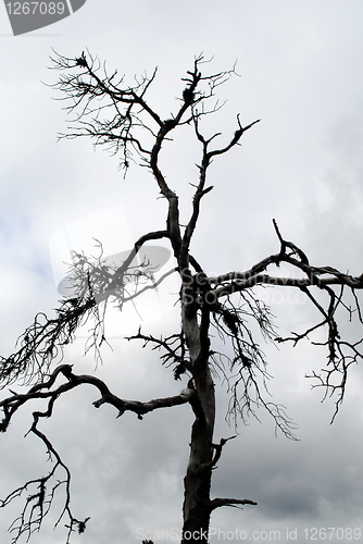 Image of The end