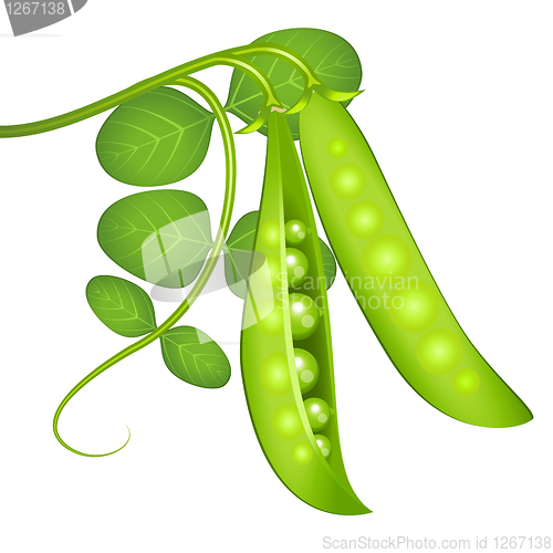 Image of Green peas