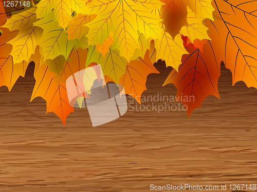 Image of Fall leaves making border on wooden. EPS 8