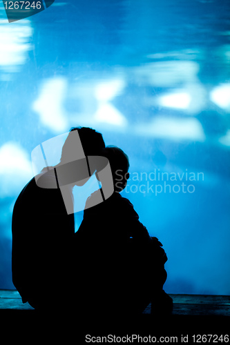 Image of father and son in aquarium