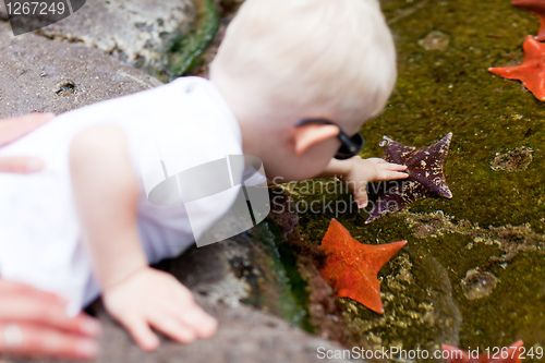 Image of toddler touching starfish