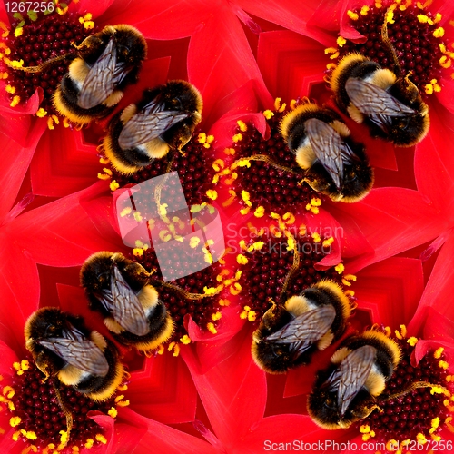 Image of Seamless Pattern Of A Bee On A Flower