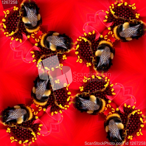 Image of Seamless Pattern Of A Bee On A Flower