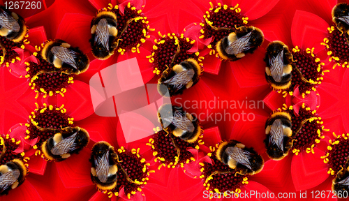 Image of Seamless Pattern Of A Bee On A Flower