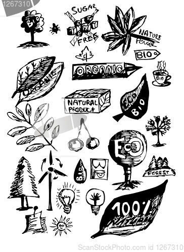 Image of natural objects (hand drawn)