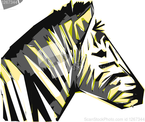 Image of zebra 