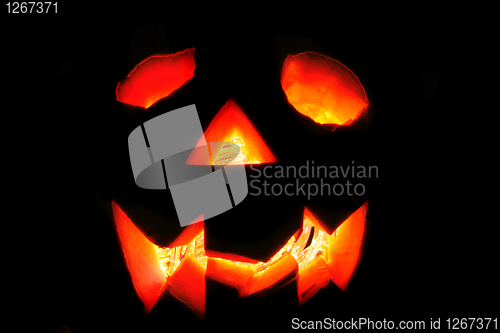 Image of halloween pumkin