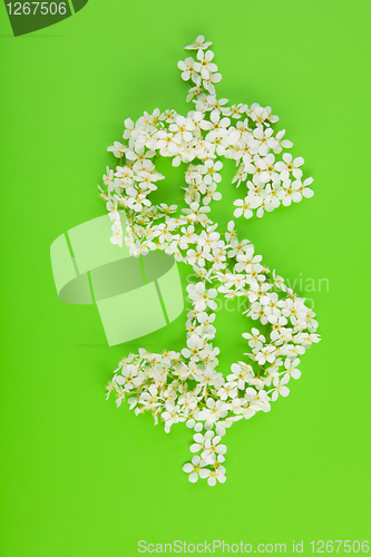 Image of Dollar sign made of white white flowers