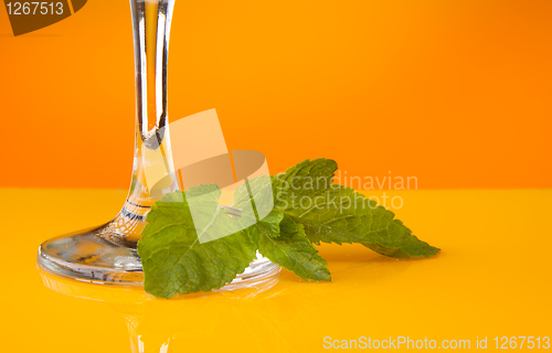 Image of Mint leaves for cocktail