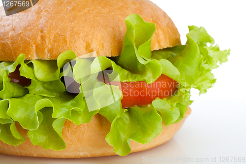 Image of Close-up of vegetarian healthy hamburger