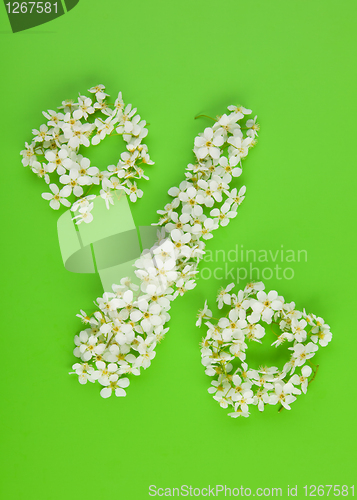 Image of Percentage sign made of white flowers