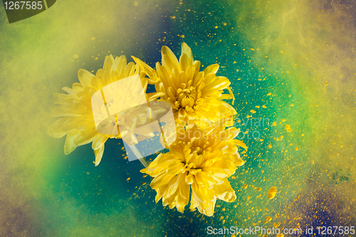 Image of Paint big bang and flowers