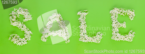 Image of Sale sign made of white cherry tree flowers