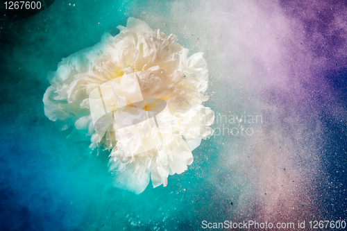 Image of Universe like flowers