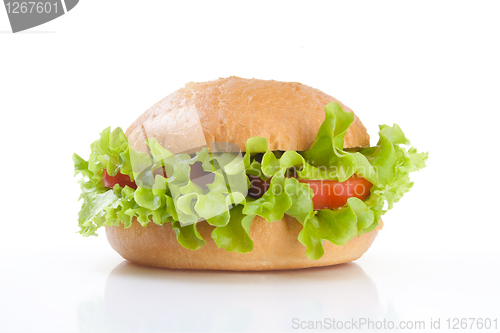 Image of vegetarian healthy hamburger