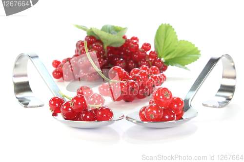 Image of Currants