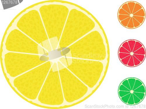 Image of citrus fruit. Orange lemon lime grapefruit