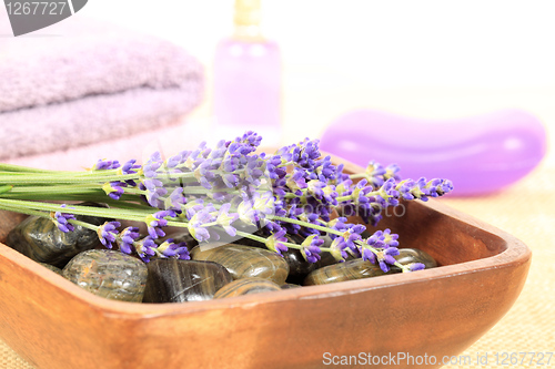 Image of Lavender spa