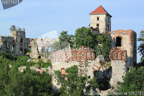 Image of Tenczyn castle