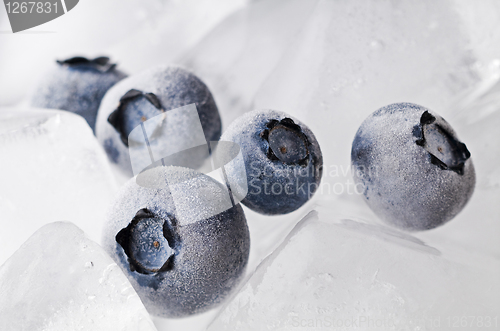 Image of Frozen blueberries
