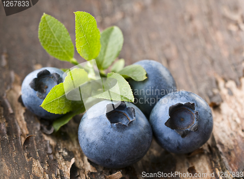Image of Blueberries