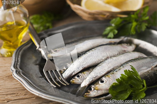 Image of Sardines