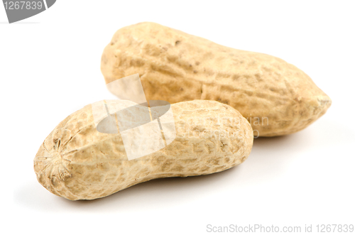 Image of Two peanuts