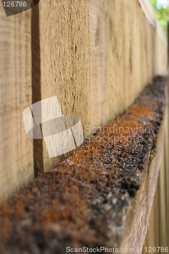 Image of Fungus Fence