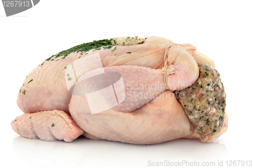 Image of Chicken with Stuffing