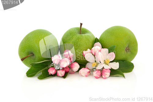 Image of Apple Fruit and Flower Blossom