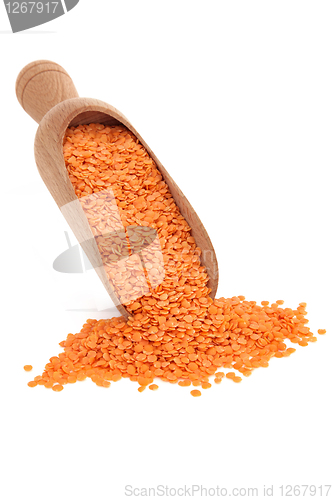 Image of Red Lentils