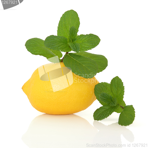 Image of Mint Herb and Lemon Fruit