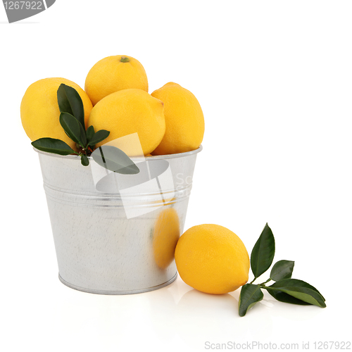 Image of Lemon Fruit