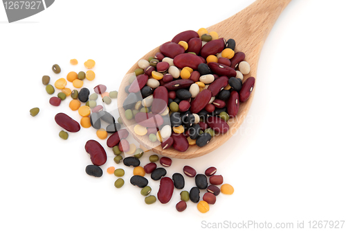 Image of Dried Pulses