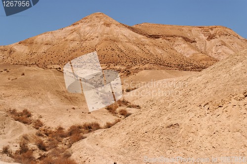 Image of Dry creek in the stone desert