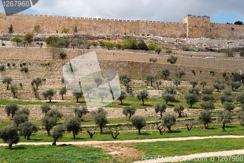 Image of Terraces of the Kidron Valley and the the wall of the Old City in Jerusalem