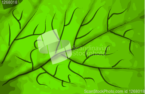 Image of green leaf texture