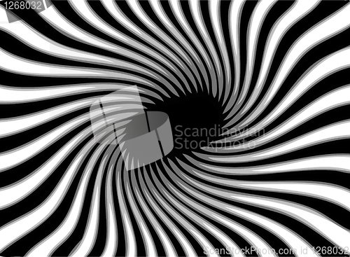 Image of zebra black and white texture 