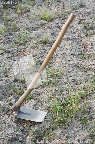 Image of Hoe, a garden tool