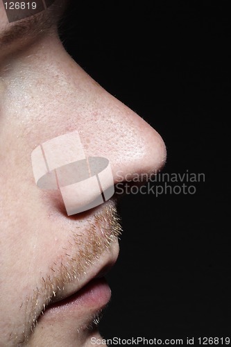 Image of Nose