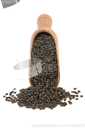 Image of Lentils