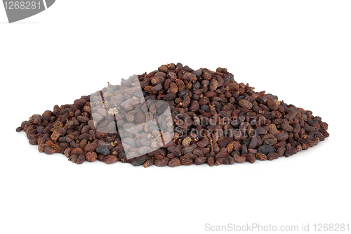 Image of Privet Fruit Herb