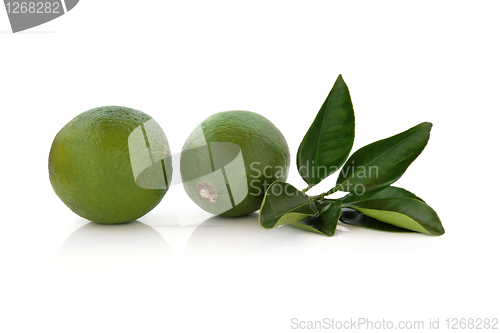 Image of Lime Fruit