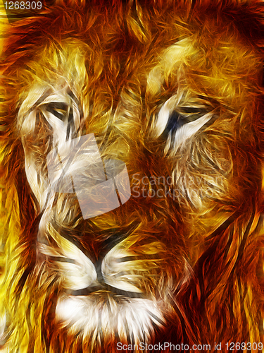 Image of Close-up picture illustration of Large Lion face