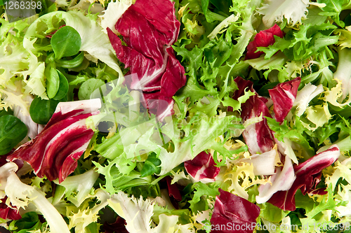 Image of salad